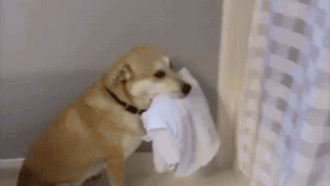 11. Drying off too vigorously.

Just like scrubbing too hard in the shower, rubbing yourself down can irritate your skin. It's best to pat yourself dry.