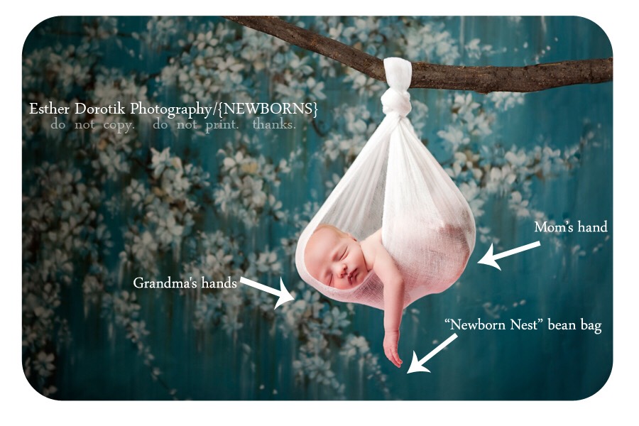 Newborn Photography Tutorial.