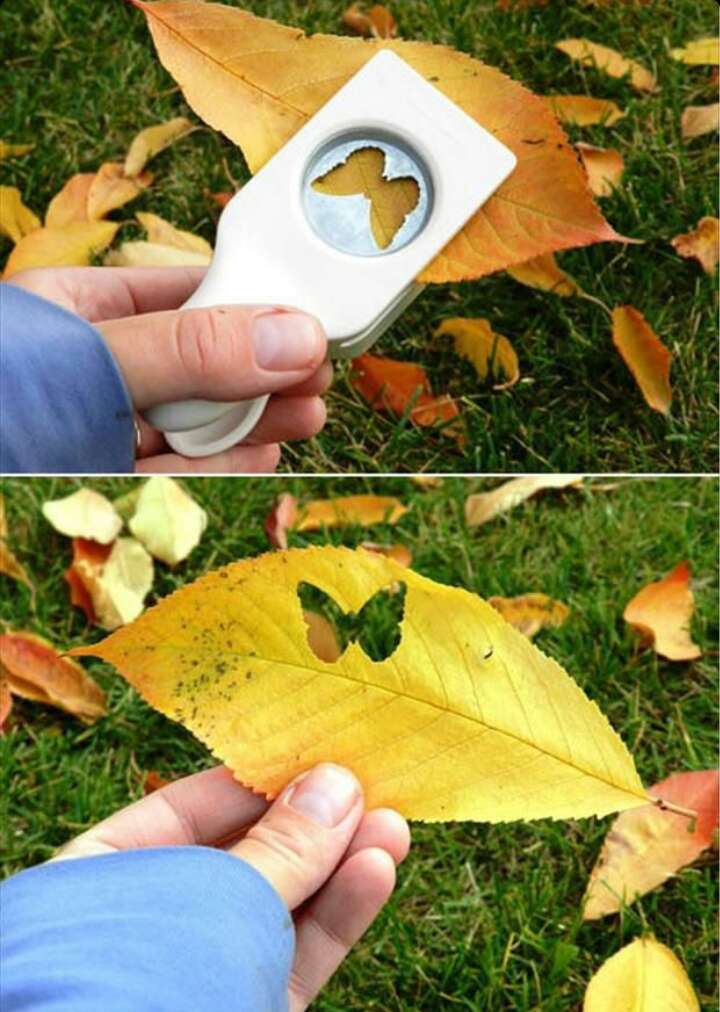 4 BORDERLINE CRAFTS*