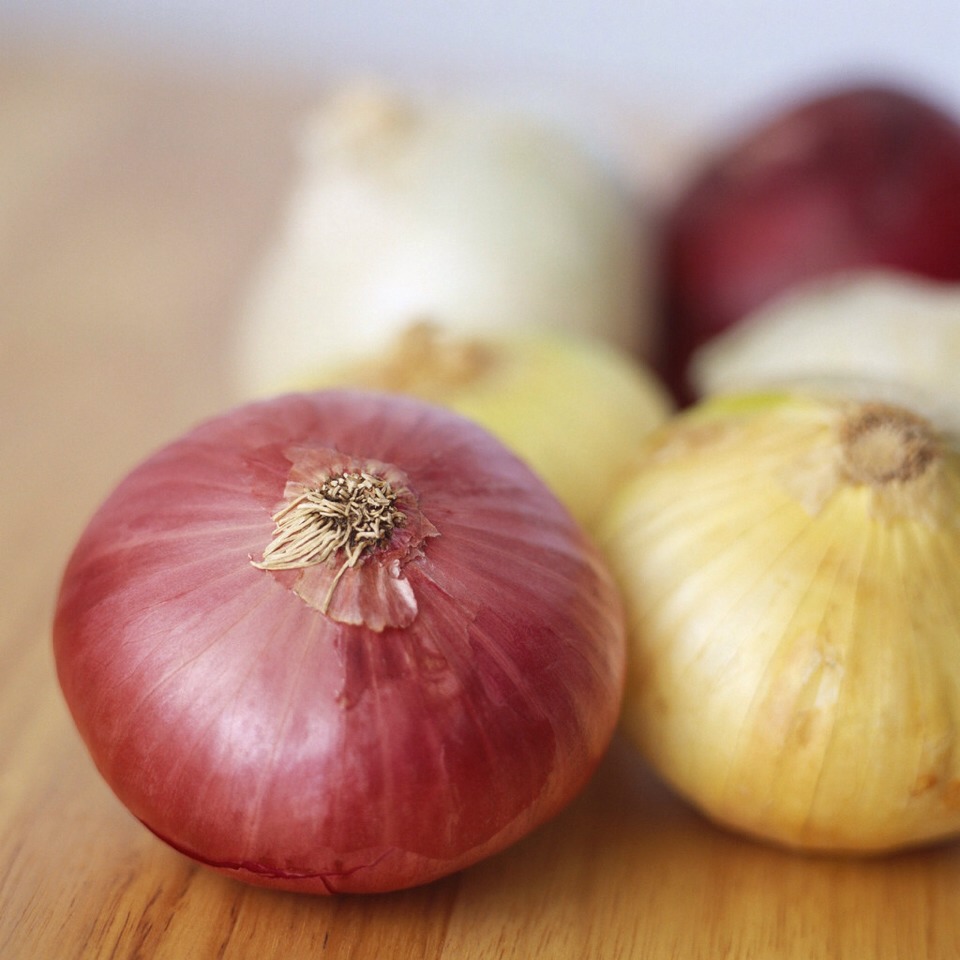 Onion is the nature antibiotic, in some eastern country they call onion the pharmacy of nature.  