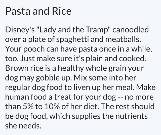 Dog Safe Foods 