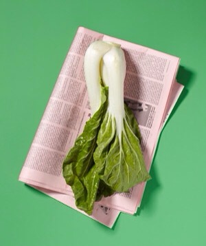 Newspaper as Refrigerator Odor Absorber
Absorb odors in the refrigerator’s vegetable drawer with a lining of newspaper.