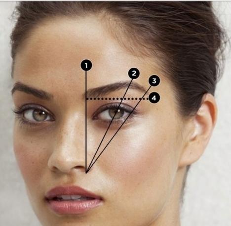 This is a useful guide for when you're plucking your eyebrows. 