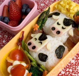 Lunch Ideas For Fussy Kids 