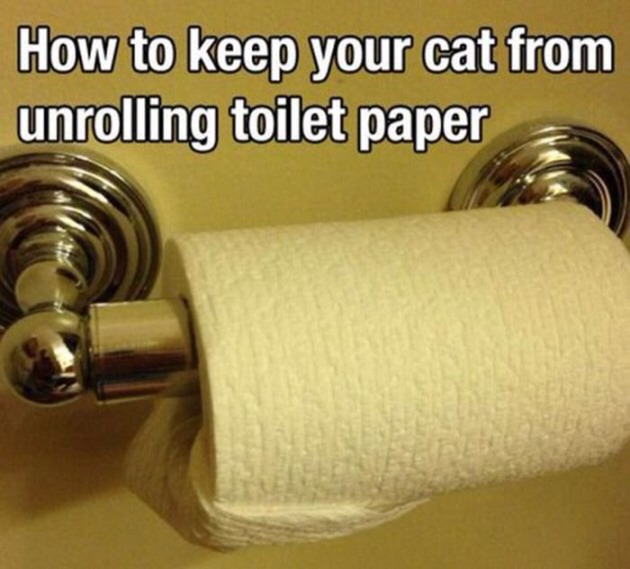 Keeps away from cats and little kids