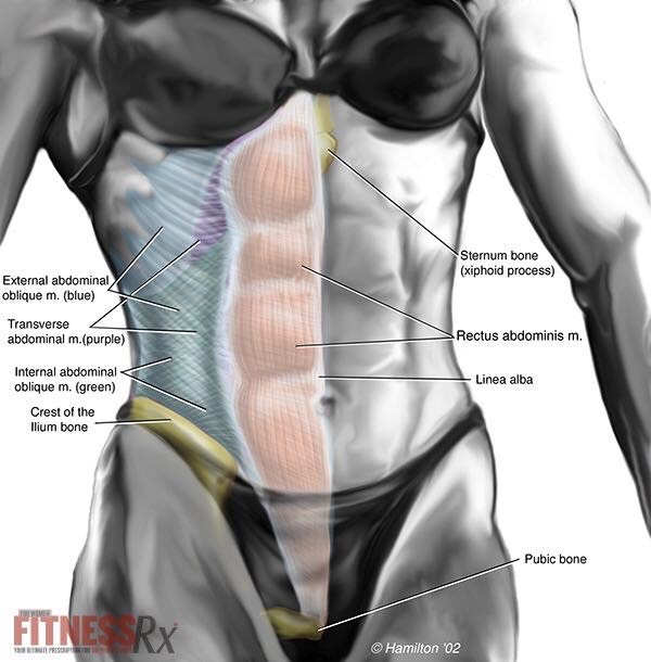 The Workout Your Core Desperately Needs