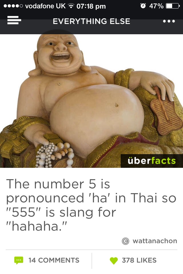 Fun Facts😜