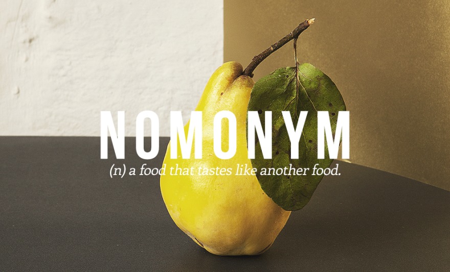 24 Brilliant New Words You Should Start Using