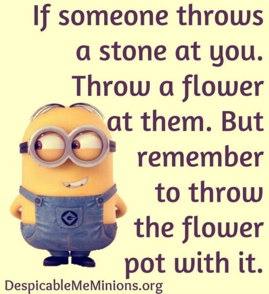 Minions Funny Quotes