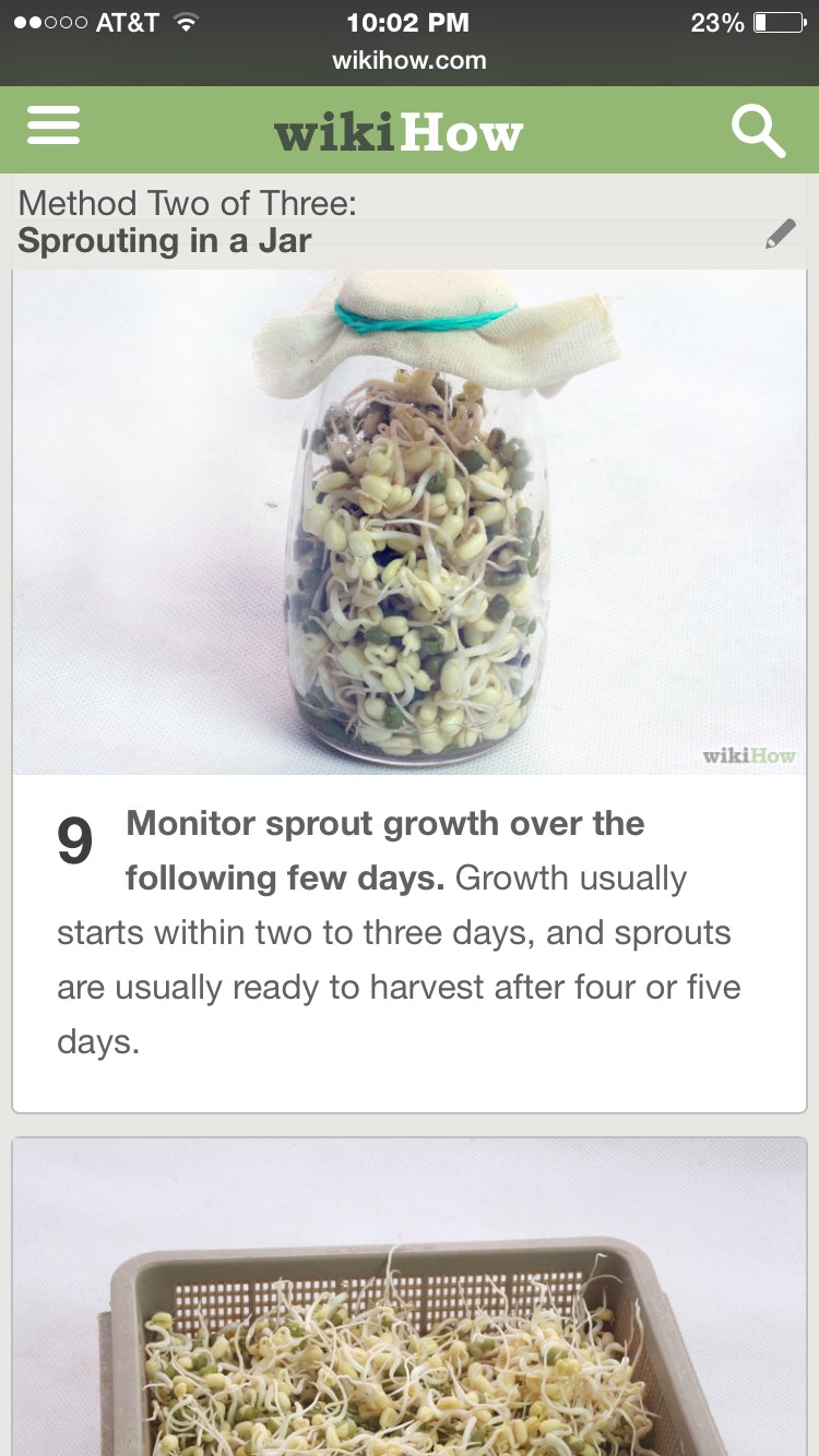Grow Your Own Mung Sprouts- Super Easy, Super Fast, And Super Healthy! 