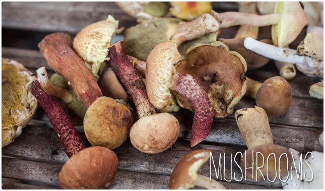 1. Mushrooms
Mushrooms are a healthy food overall, but if you’re concerned about your Biotin levels, you may want to be sure to include mushrooms in your cooking, or gravitate more towards menu items that include them. In addition to being a good source of Biotin, 