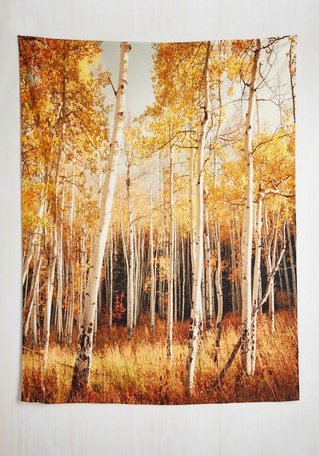 12. A tapestry to help you pretend that it’s fall all year.
http://www.modcloth.com/shop/wall-decor/get-in-on-the-aspen-tapestry?SSAID=314743&utm_medium=affiliate&utm_source=sas&utm_campaign=314743&utm_content=417942&gate=false