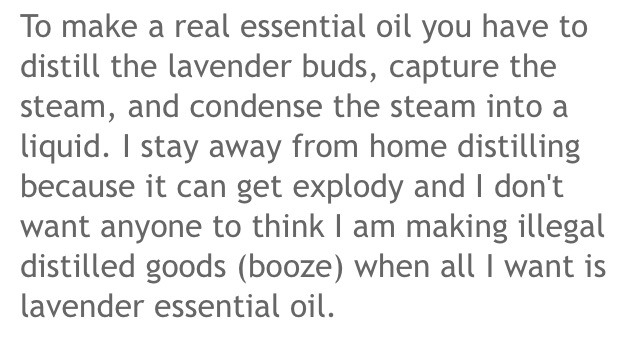 🌿How To Make Lavender Essential Oil!🌿