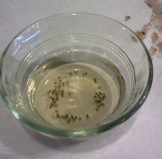 Goodbye Fruit Flies: To get rid of pesky fruit flies, take a small glass, fill it 1/2′ with Apple Cider Vinegar and 2 drops of dish washing liquid; mix well. You will find those flies drawn to the cup and gone forever!