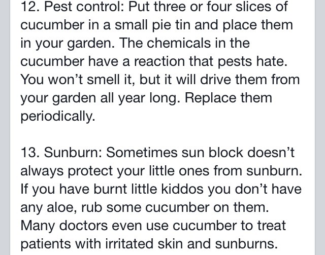 Power Of CUCUMBER