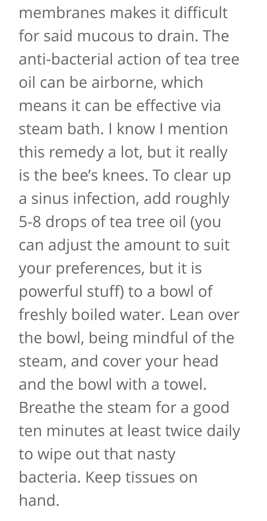 25 Everyday Uses For Tea Tree Oil
