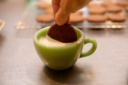 Chocolate Candy Cane Cookies