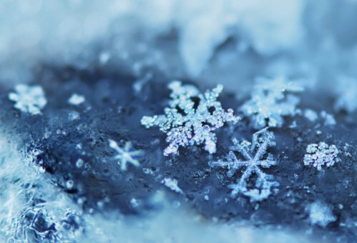 ❄️Adorable Christmas Wallpapers❄️