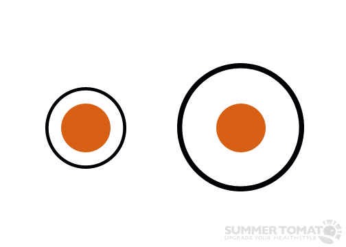 16. Use smaller plates.