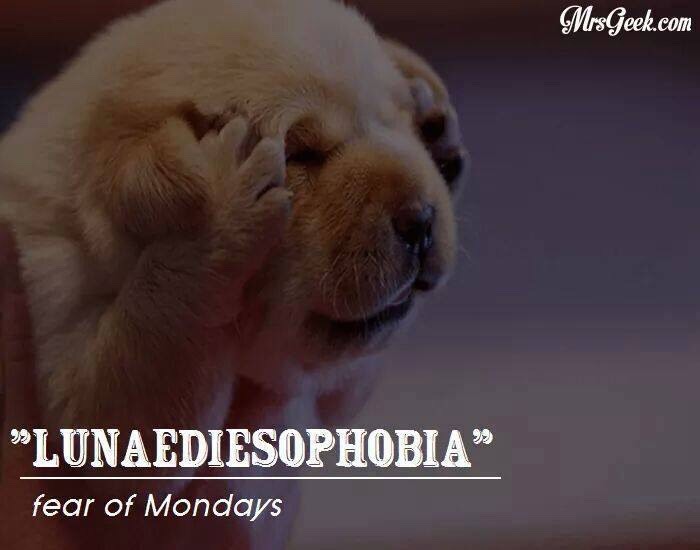 Different Types Of Phobia Which Really Do Exist. 😨