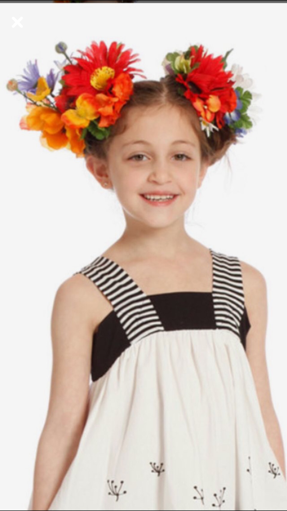 Crazy Hair Day Ideas 
