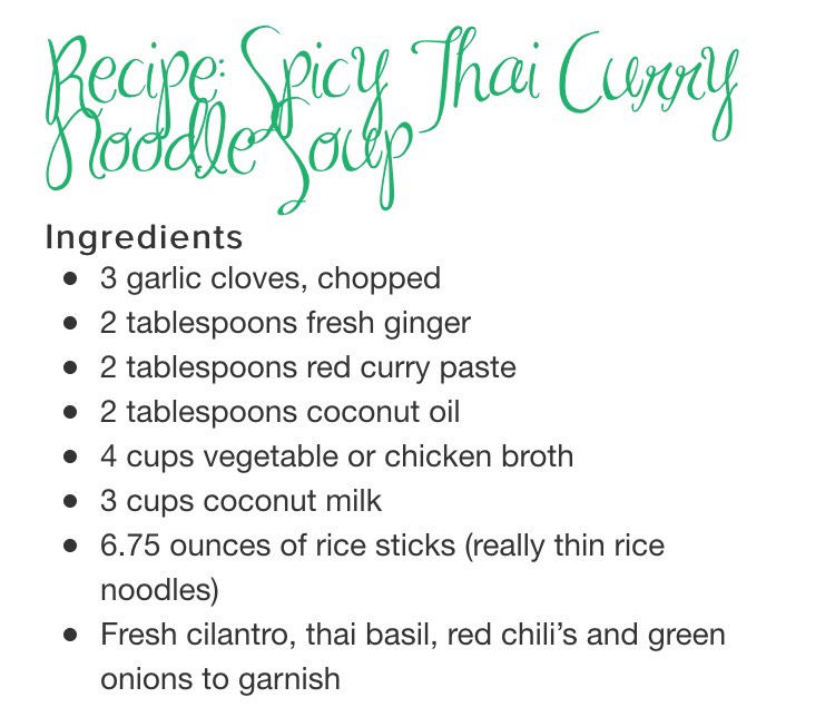 Spicy Thai Curry Noodles Soup.
