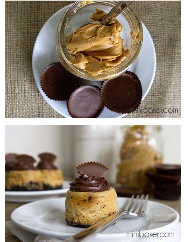 Mini Oreo Peanut Butter Cheese Cake. 