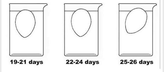 36 Kitchen Tips That No One Ever Told You About!! 