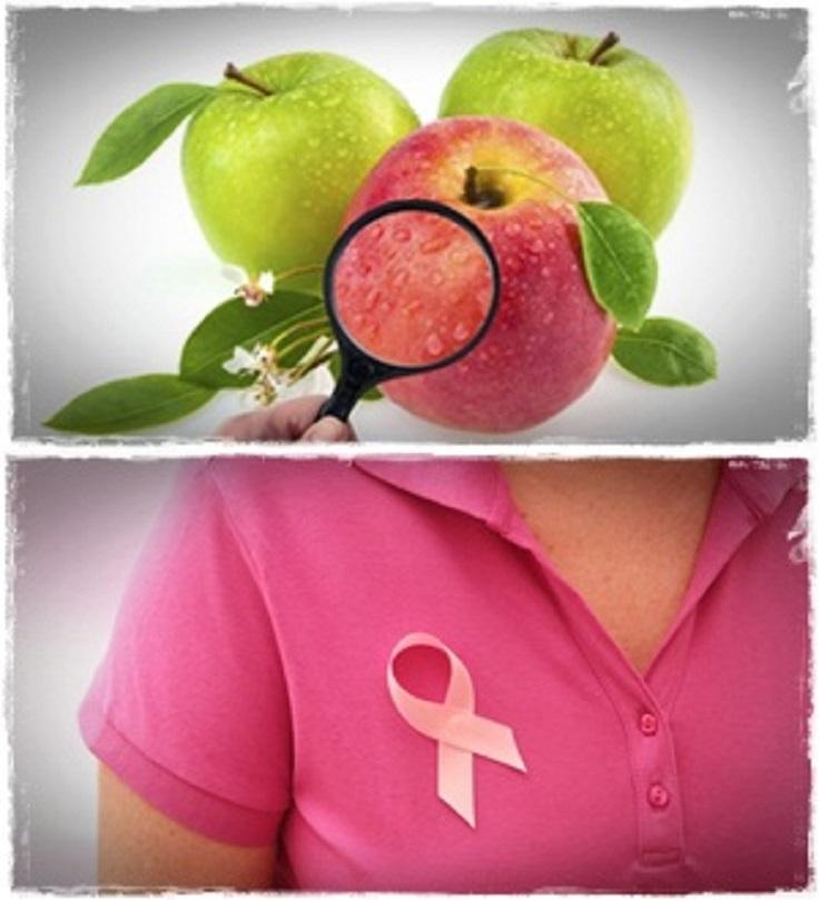 Curb All Sorts of Cancer
The consumption of flavonol-rich apples could help reduce the risk of developing pancreatic cancer. This divine fruit curbs down the cancer of colon, liver and breast.