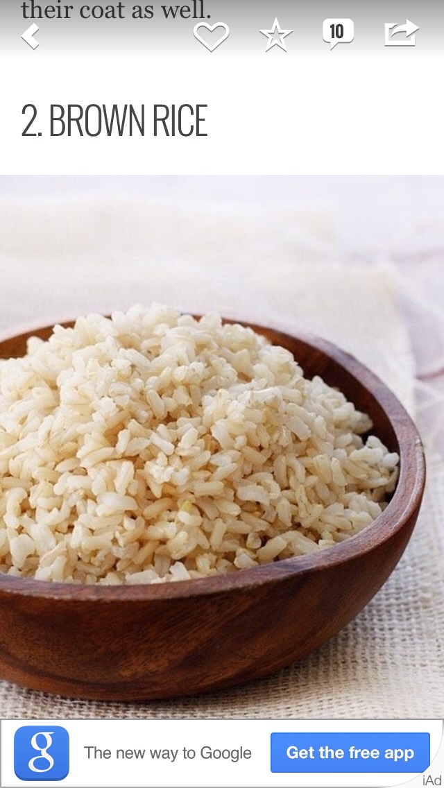 7 Puppy Friendly & Healthy Foods