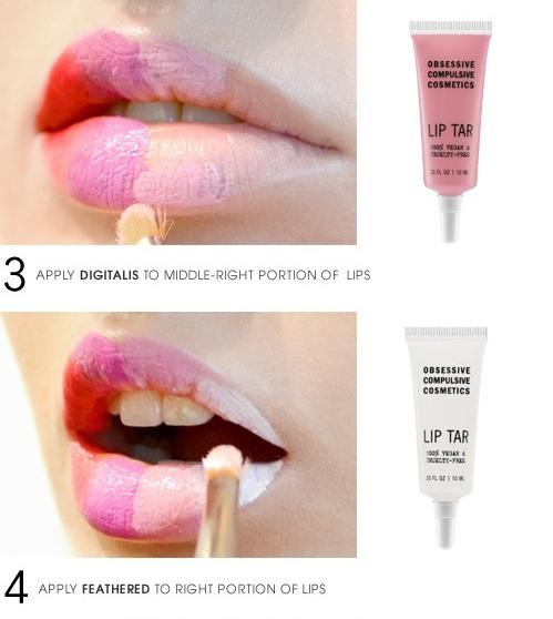 5 Ombre Lips Step By Step