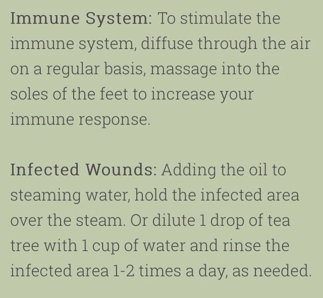 💥75 Amazing Tea Tree Oil Uses💥