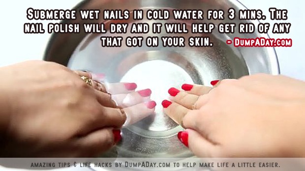 Everyday Life Tips! 