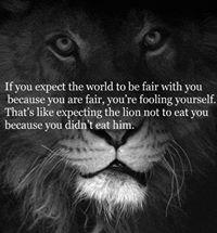 Mindblowing Quotes That Will Change The Way You Think!