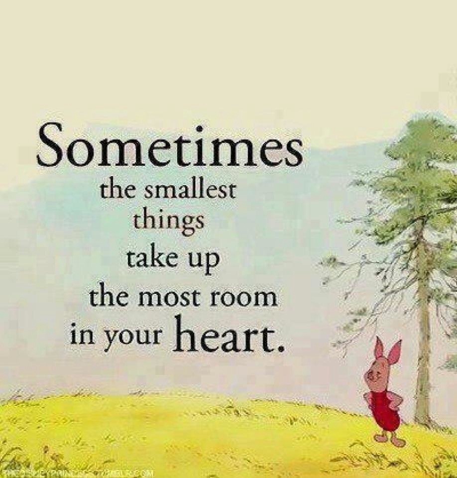 Disney Quotes