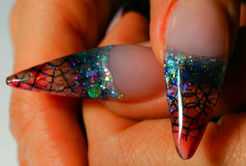 Spider Web