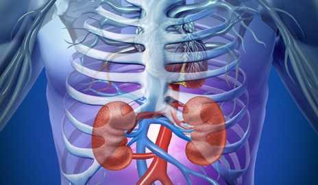 KIDNEY DISEASE: kidney disease is often caused by diabetes or hypertension, this results in your body having a hard time getting rid of acids. Orally taking baking soda helps reduce the rates and slow down the disease.