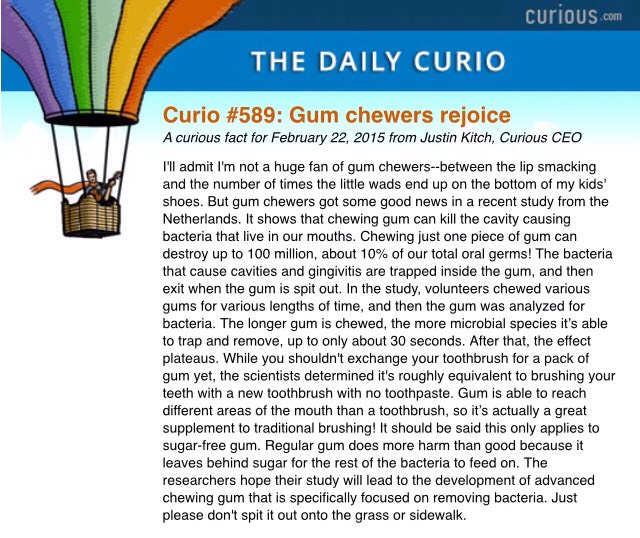 Chewing Gum (Sugar Free) For Dental Health