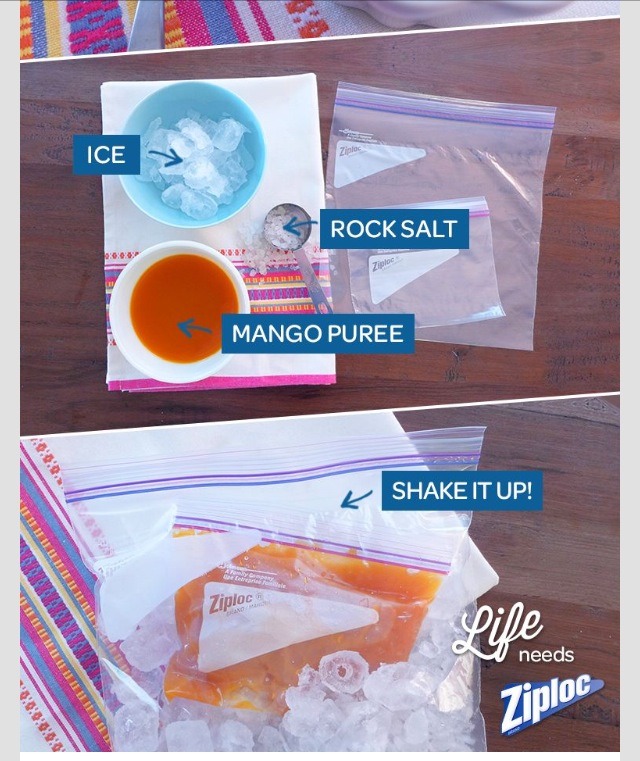 DIY Super Fast Sorbet In A Bag