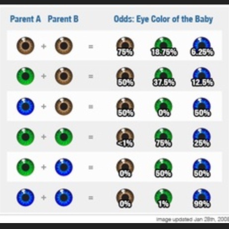 The Absolute Best And Coolest Things About Blue Eyes