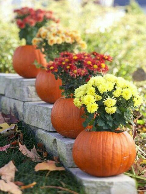 decorations 