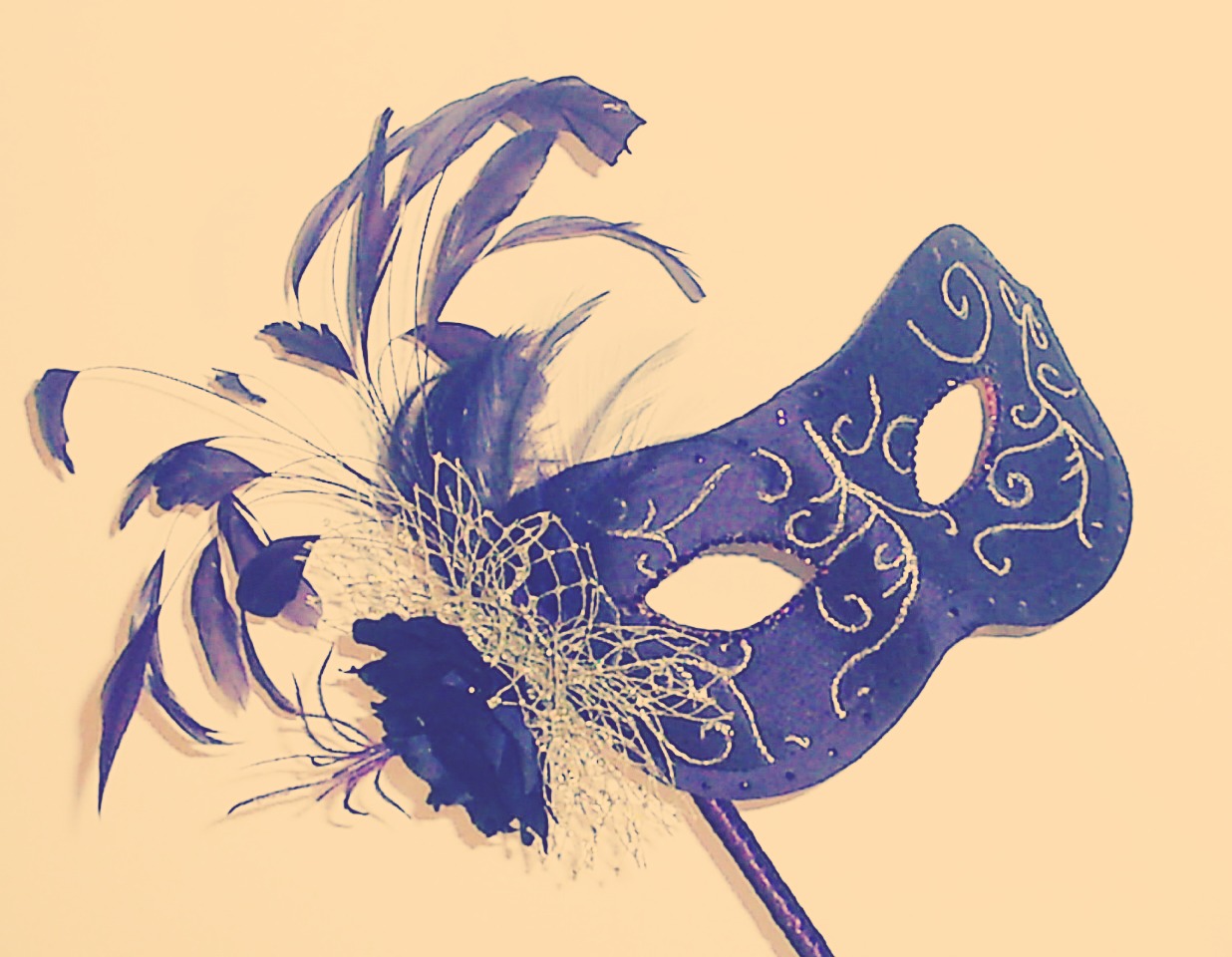 Masquerade ball!! Have everyone wear there best outfits with an elegant mask. The unknown can make the party have a special touch to it, making it a night to remember.