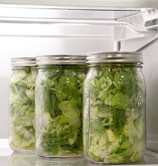 NO HASSELL 2GET FRESH LETTUCE 4 SALAD SAV AT HOME 4MANY DAYS (worth a try)