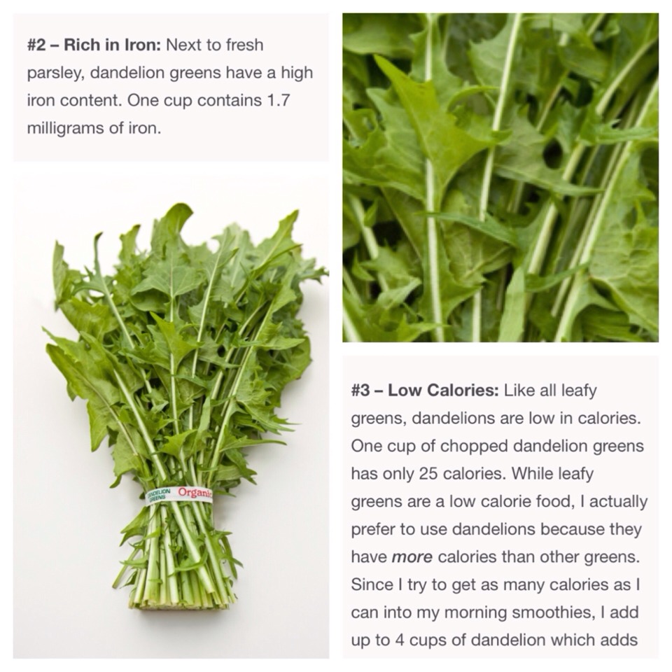 10 Reasons You Should Use Dandelion Greens In Your Green Smoothie Or Just In Salads 