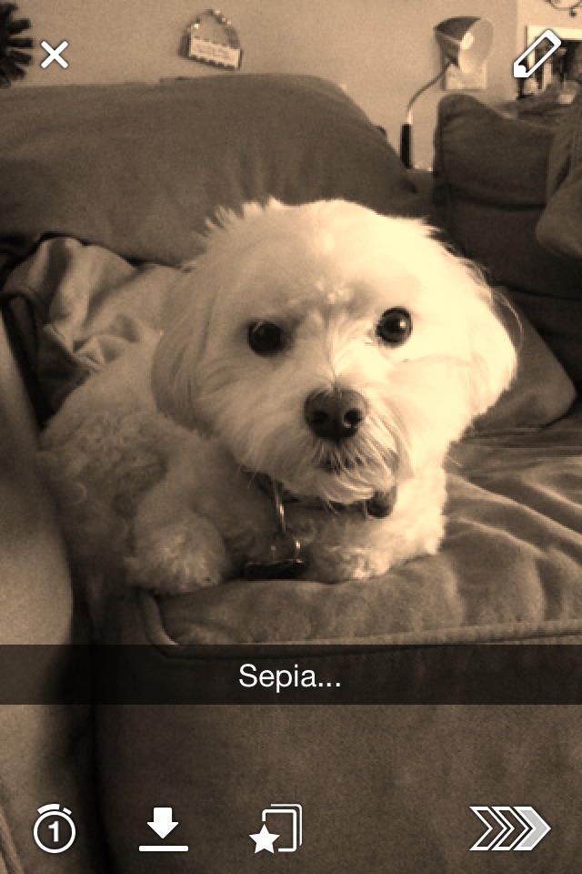 To create a sepia effect, simply type in 
Sepia...
into the text box, and voila! Then, you can delete the text, and the picture will still have the sepia effect. 