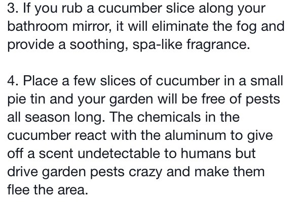 💚Cucumber Tips & Tricks! Interesting Read!💚