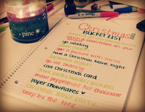 WINTER BUCKET LIST|2015-16