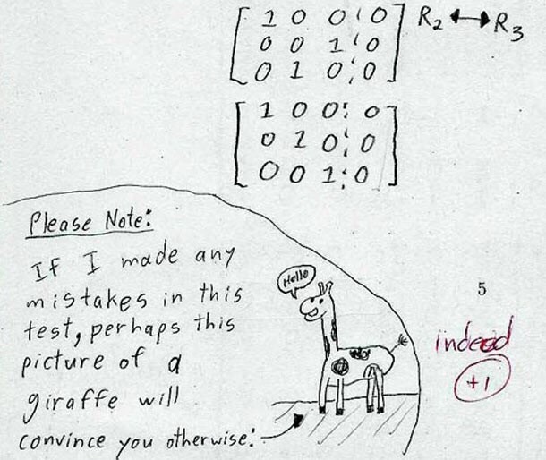Funny Test Answers