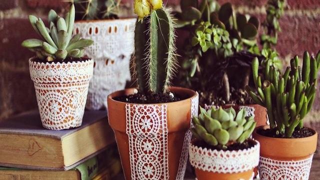 16. A Hobby:Do something for yourself that doesn’t involve others, such as gardening, or learning to play an instrument.