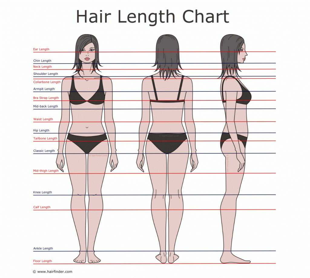 The Inversion Method ! Grow An Inch Of Hair In One Week ! 💁